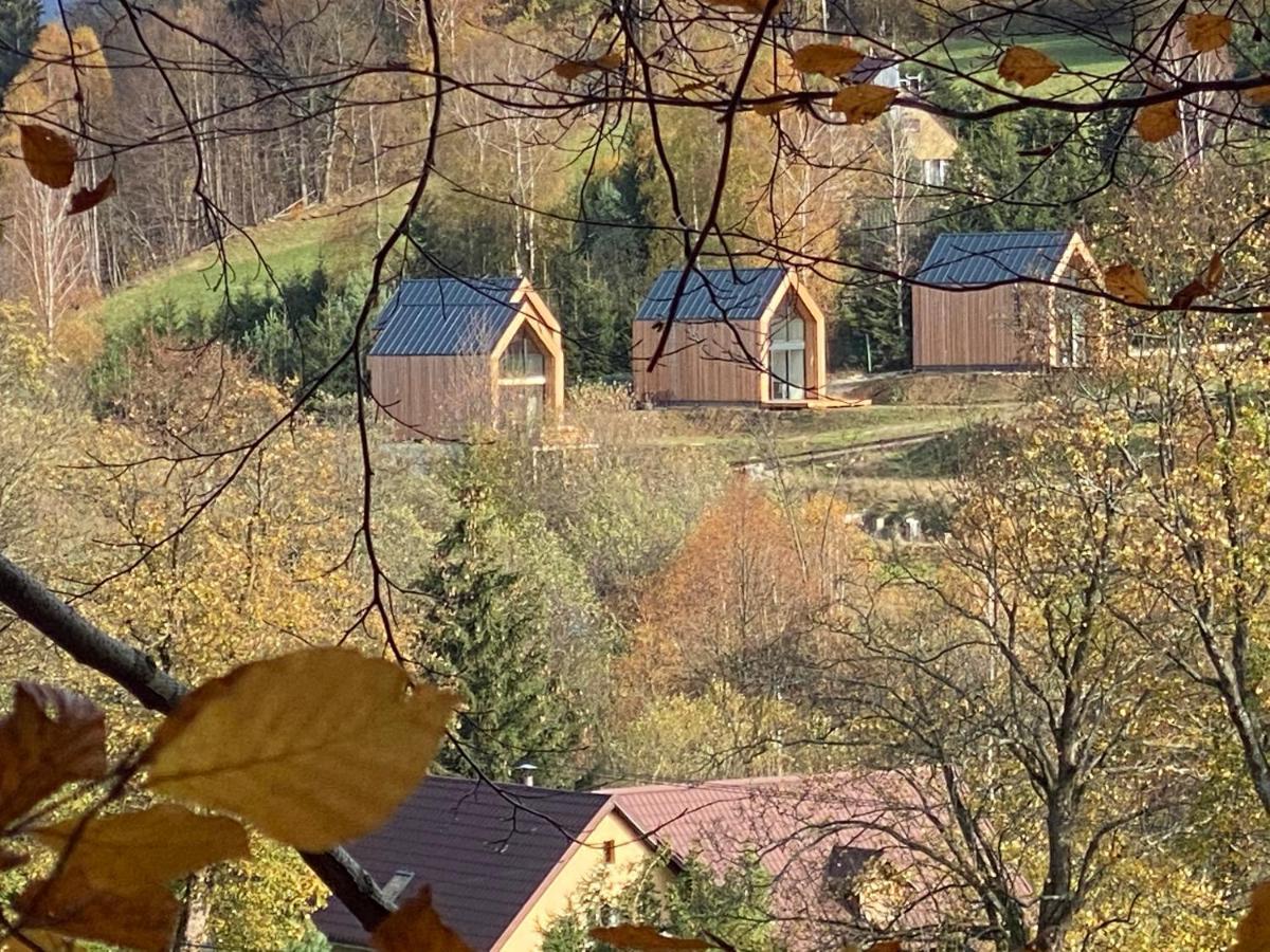 Domki Pod Lasem - Domek Brzozowy Stronie Śląskie Exterior foto