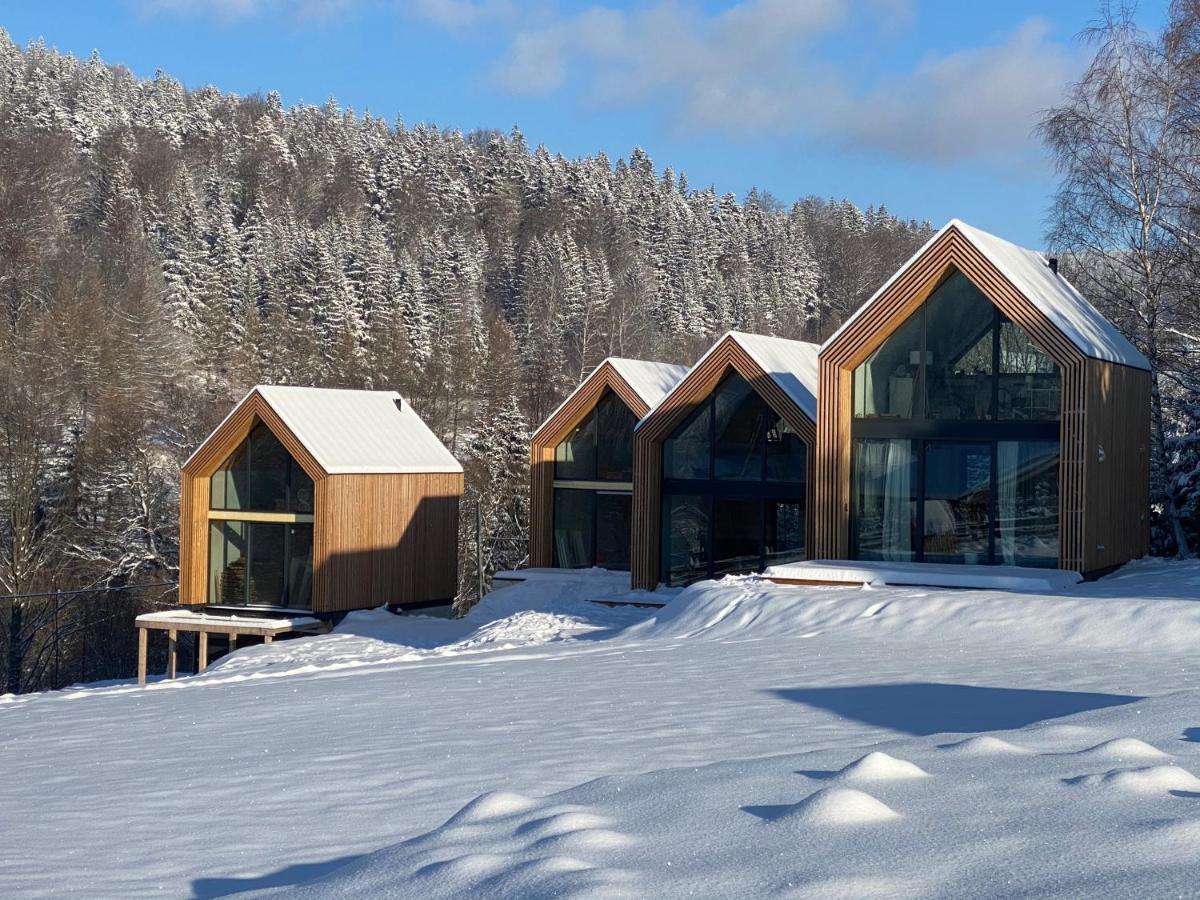 Domki Pod Lasem - Domek Brzozowy Stronie Śląskie Exterior foto